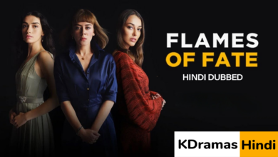 Flames of Fate (Turkish Drama)