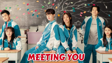 Meeting You (Chinese Drama)