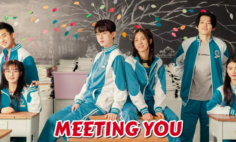 Meeting You (Chinese Drama)