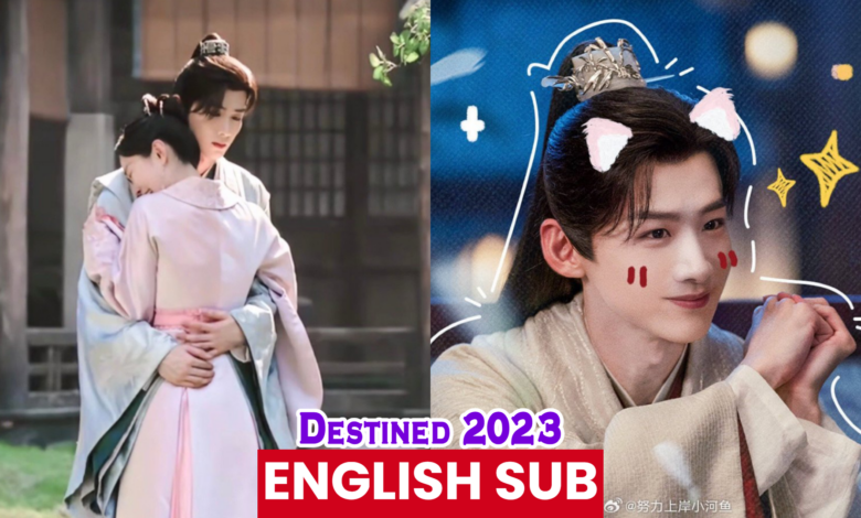 Destined (2023) Chinese Drama English Subtitles