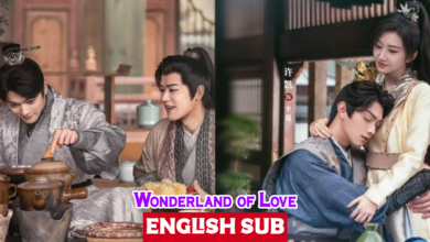 Wonderland of Love (2023) [Chinese Drama] Urdu Hindi Dubbed