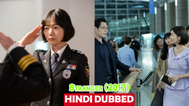 Stranger (2017) Korean Drama in Urdu Hindi Dubbed